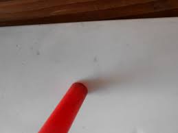 Image result for Oxford White 1993 Ranger