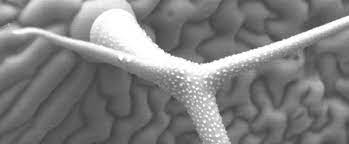 We did not find results for: What Is Electron Microscopy And Its Applications