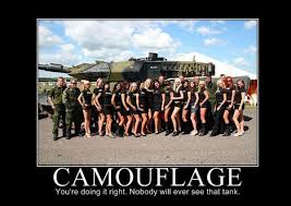 Camouflage Military Humor Military Humor Army Humor Military Jokes