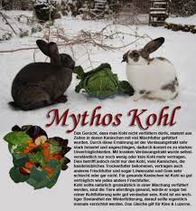 Mythos Kohl Kaninchen Kaninchen Kaninchenhaus Kaninchen Ernahrung