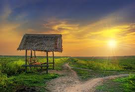 Sedikit video pemandangan sawah padi yang sedang tumbuh subur menunggu waktu untuk dituai.#pemandangan#sawahpadi#oraitnopo. Pemandangan Di Sawah Padi Pada Waktu Senja Paimin Gambar