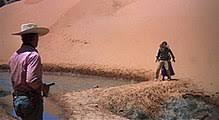 The searcher by tana french ‧ release date: The Searchers Wikipedia