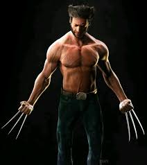 my one and only hero wolverine hd iphone wallpaper facebook hero wolverine hd iphone wallpaper