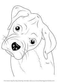 See what drawing tutorials 101 (drawingtutorials101) has discovered on pinterest, the world's biggest collection of ideas. Step By Step Drawing Of A Dog Face Novocom Top