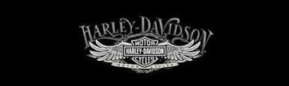Image result for harley davidson wing