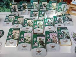 Sensi seeds is the weed seed bank worldwide. Sensi Seed Bank Amsterdam 2021 All You Need To Know Before You Go With Photos Tripadvisor