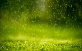 You can also upload and share your favorite rain wallpapers hd. Animated Rain Wallpaper Windows 10