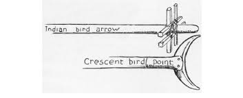 Check spelling or type a new query. Two Bird Arrow Tips Illustrated By Saxton Pope Top An Ethnographic Download Scientific Diagram