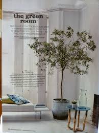 Check spelling or type a new query. Pin On Landscaping Trees Shrubs