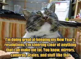 Chicago cubs and mlb news, rumors, & obsession, by @brett_a_taylor. Great Job Kitteh Lolcats Lol Cat Memes Funny Cats Funny Cat Pictures With Words On Them Funny Pictures Lol Cat Memes Lol Cats