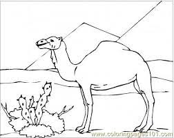 Check spelling or type a new query. Camel In Desert Coloring Page For Kids Free Camel Printable Coloring Pages Online For Kids Coloringpages101 Com Coloring Pages For Kids