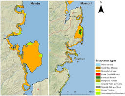 Image result for Bullockia setiflora