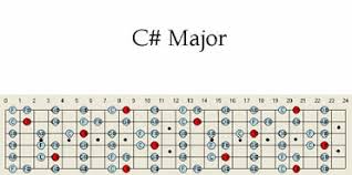 c sharp major guitar scale pattern chart scales patterns