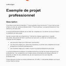 Projet professionnel exemple gratuit aide soignante. Exemple De Redaction D Un Projet Professionnel Le Meilleur Exemple