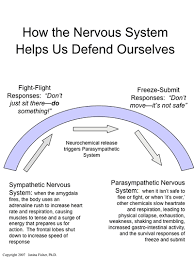 fight or flight flipchart graphic by janina fisher phd