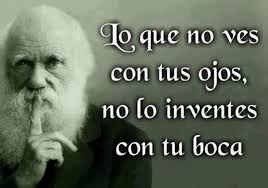 Darwin Paredes (@DarwinParedesR)