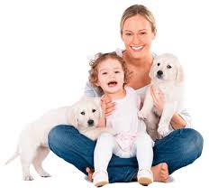 Family pet hospital, a veterinary clinic in chilliwack, is proud to offer health solutions for your pet's medical needs. Pet Connection Veterinary Clinic 7 7 Vets Availability 24 Hrs Emergency