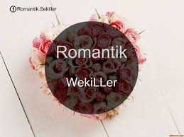 Romantik Sekiller