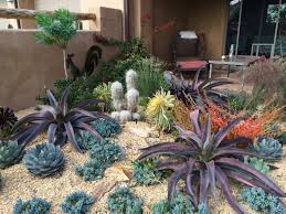 Thank you wild desert landscaping! 75 Beautiful Desert Landscaping Pictures Ideas August 2021 Houzz