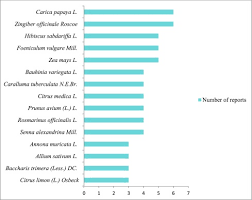 Image result for Xysmalobium heudelotianum