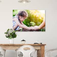 4.5 out of 5 stars 15. Acrylic Prints Acrylic Wall Art Costco Photo Center