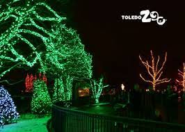 Lights Before Christmas Www Toledozoo Org Lights Before Christmas Holiday Fun Holiday Traditions