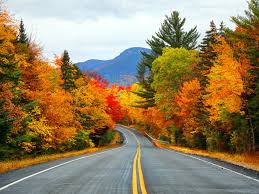 Image result for autumn leaves images