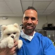 Stream episode Relief Vets Can Be Fear Free, Too! by Fear Free Pets podcast 