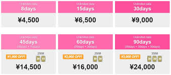 How Much Does It Cost To Go To Japan Money We Have