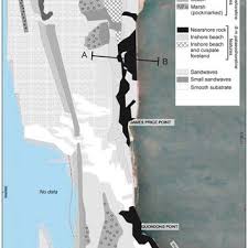 Mls id #6070864, jp willman realty twin cities. Pdf Archaeological Assessment Of Coastal And Marine Development Sites Case Study From James Price Point Western Australia