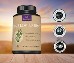 For many people, the concept of hypnotism seems silly — nothing more than an act put on during a live show or event. Buy Premium Olive Leaf Extract Capsules Standardized To 20 Oleuropein Super Strength Olive Leaf Exact Supplement Supports Immune System Cardiovascular Health 750mg Per Capsule 120 Capsules Online In Kazakhstan B01h46px8q