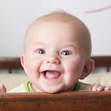 TOP 10 BEST Car Seat Rental in Kona, HI