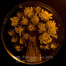 Grand finale winner (trophies and certificate). Asm Agar Art Contest Previous Winners Asm Org