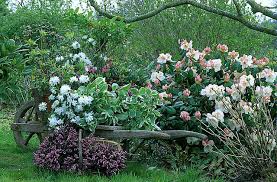 La terre encore chaude permettra un début d'enracinement avant l'hiver dans une terre bien préparée. Quelles Plantes Choisir Pour Une Bordure