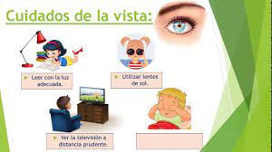 Cuidados De Los Sentidos Para Ninos Youtube