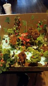 Tropical Rainforest Biome In A Box Deciduous Forest Diorama Ecosystems Projects Biomes Project Forest Crafts
