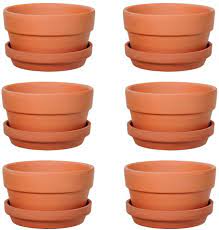Breathable construction allows the roots to breath. Amazon Com 6 Pack 5 Inch Terracotta Shallow Succulent Pot With Saucer For Succulent Cactus Plant Pots With Drainage Hole For Plants Garden Windowsill Indoor Outdoor Wedding Favors Gifts 5 Inches Garden