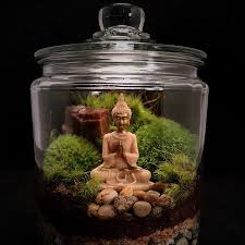 ƹӝʒ Mc19 Sandstone Buddha In Glass Apothecary Jar Terrarium Gifts Terrarium Jar Terrarium