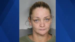 Charlotte County woman arrested, accused of illegally renting out home she  doesn't own