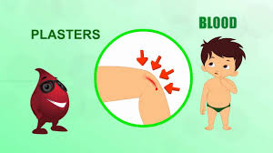 Pin On School Videos