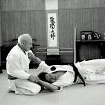Roy Goldberg brings Daito Ryu Aikijujutsu to the Maine Gathering