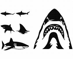 Black And White Shark Teeth Clipart Sharks Svg Bundle Shark Silhouettes Sharks Svg For Cricut Etsy In 2020 Shark Silhouette Shark Fishing Svg