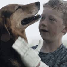 Michael Molitch-Hou, Author at 3D Printing Industry