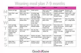 Baby Food Meal Planner 7 9 Months