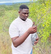 Image result for Brackenridgea zanguebarica