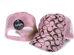 Pink And Brown Google Images Pink Brown Pink Coach Hats