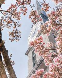 spring in zurich switzerland travel around europe instagram europe travel