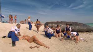 Nude video celebs » Irina Voronina nude - Reno 911! Miami (2007)