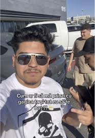 American Life in Los Angeles: Creator Search Insights