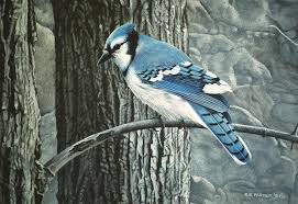 We offer multiple payment and financing options. Backyard Jay Painting By Ron Parker